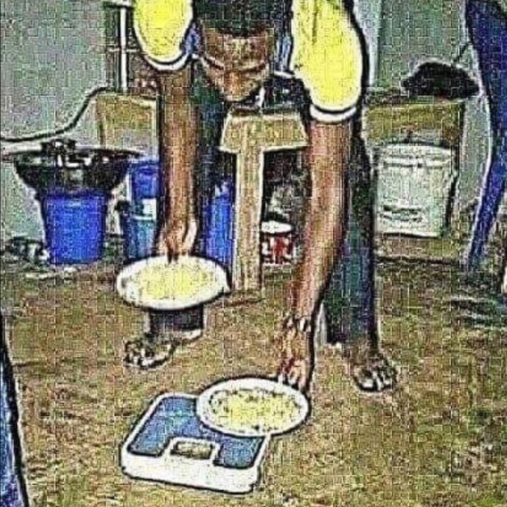 Meet your Posher, Jake